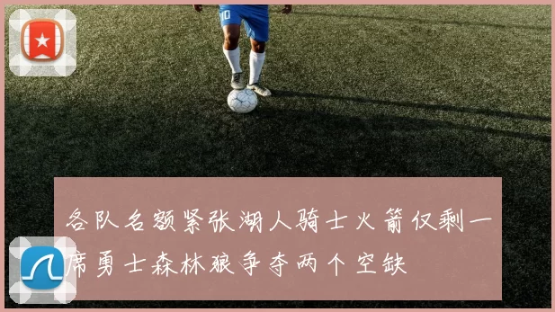 各队名额紧张湖人骑士火箭仅剩一席勇士森林狼争夺两个空缺
