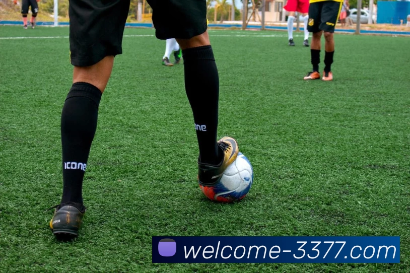 3377体育品牌故事