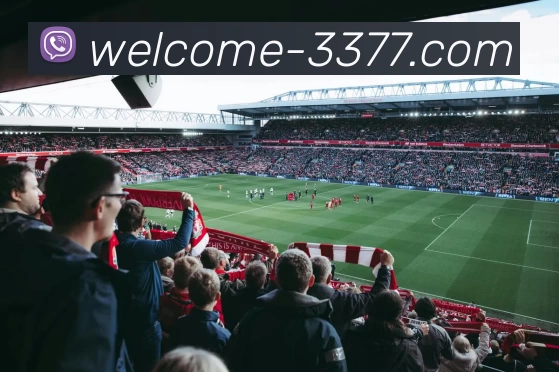 3377体育服务体系