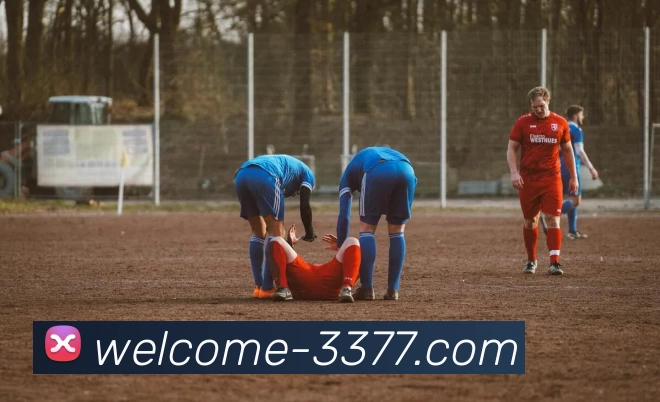 多媒体互动体验